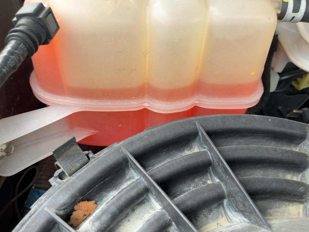 Photo '9' of Ford Ranger Wildtrak