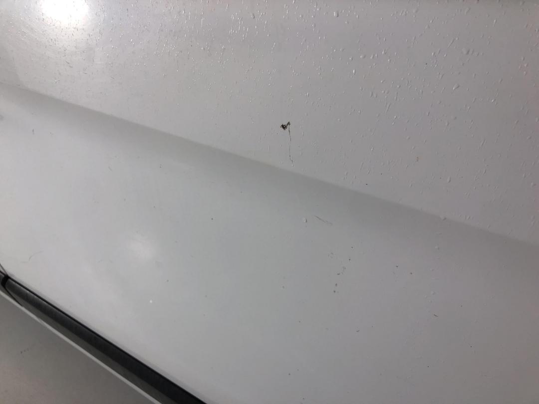 Photo '25' of Ford Transit Photo '25' of Ford Transit