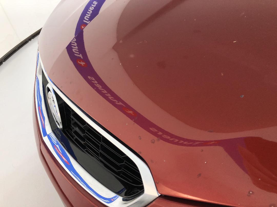 Photo '24' of Holden Commodore Photo '24' of Holden Commodore