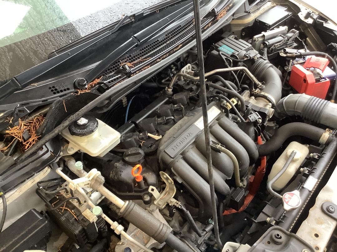 Photo '16' of Honda Grace Photo '16' of Honda Grace