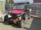 Thumbnail '1' of Honda Pioneer SXS500