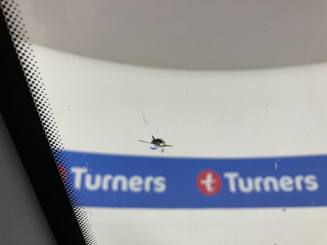 Photo '24' of Hyundai Iload Photo '24' of Hyundai Iload