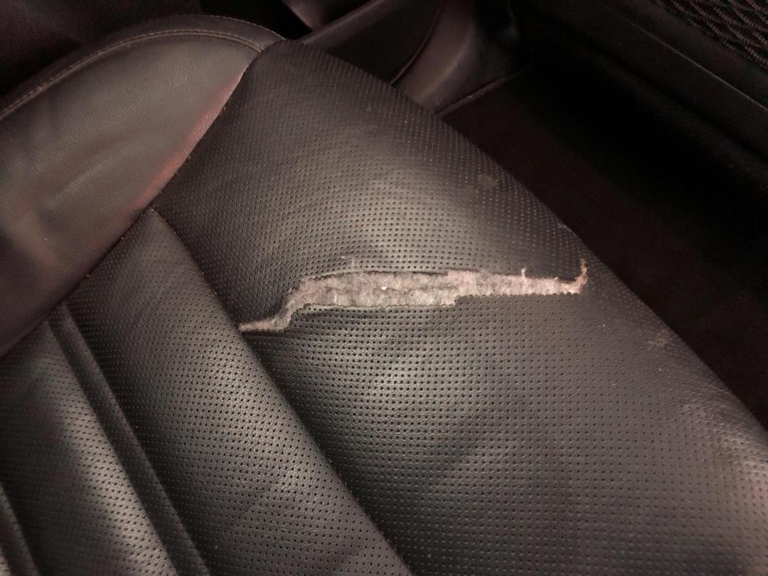 Photo '23' of KIA Sorento