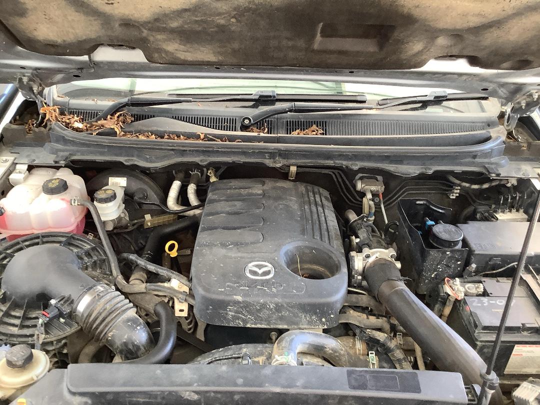 Photo '10' of Mazda Bt-50 GSX D/C W/S Photo '10' of Mazda Bt-50 GSX D/C W/S