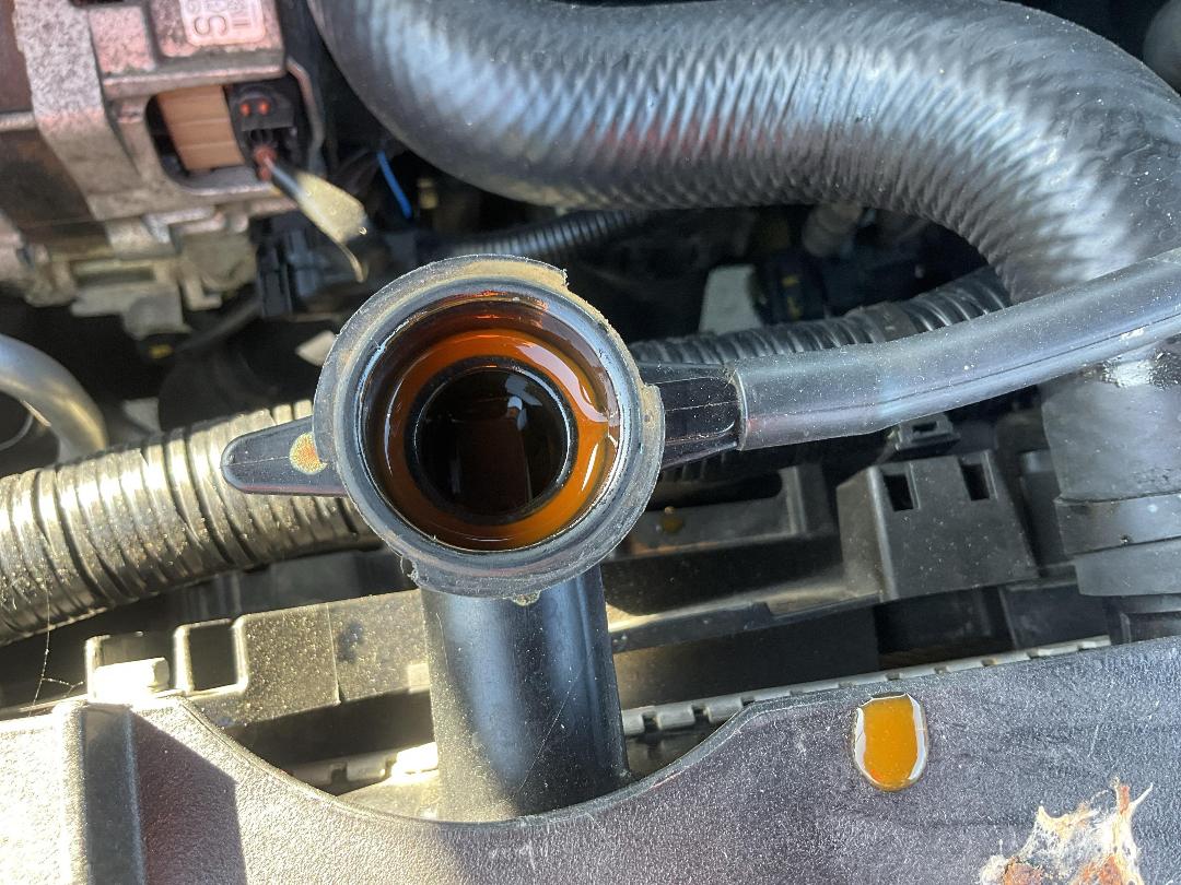 Photo '10' of Mazda CX-5 GSX DSL