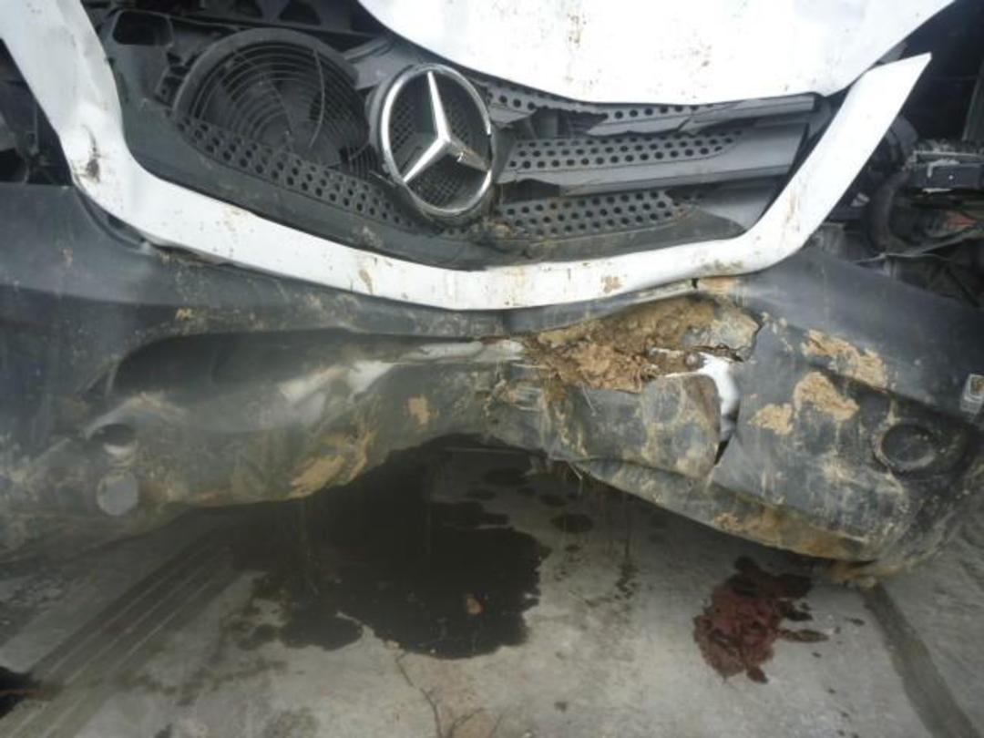 Photo '10' of Mercedes-Benz Sprinter 313 CDI 3665 S MB Bus Photo '10' of Mercedes-Benz Sprinter 313 CDI 3665 S MB Bus