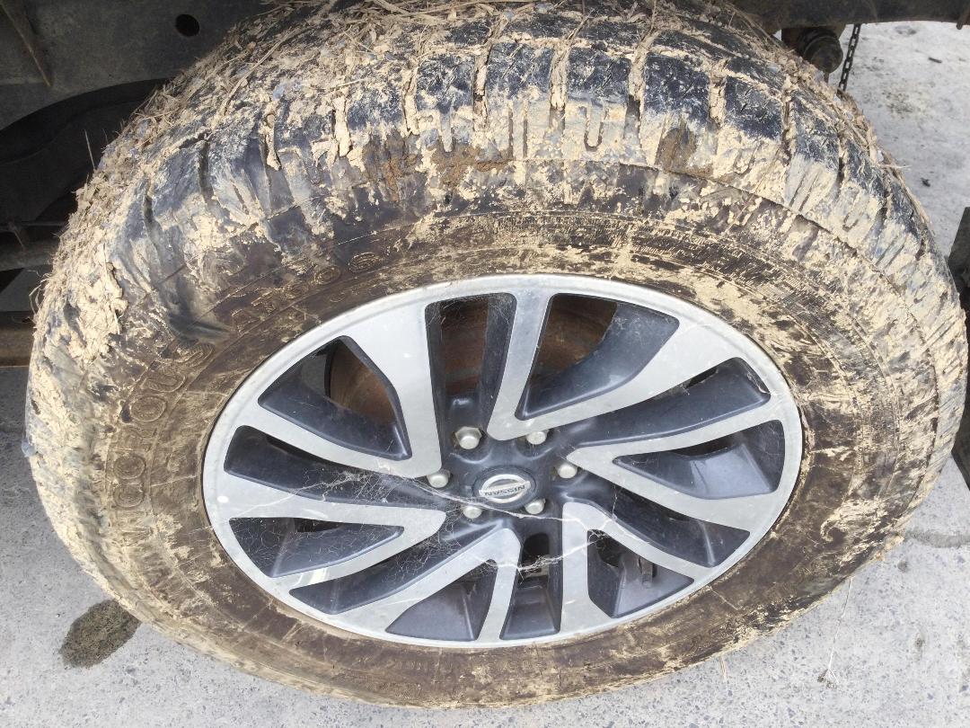 Photo '12' of Nissan Navara ST