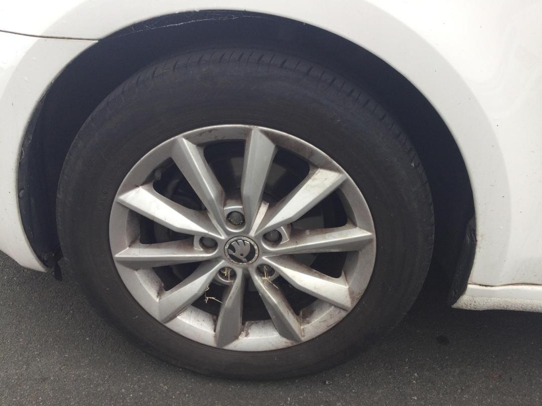 Photo '8' of Skoda Octavia TDI 81KW 7DSG L/B