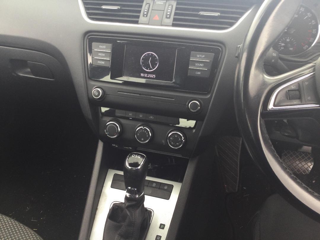 Photo '12' of Skoda Octavia TDI 81KW 7DSG L/B