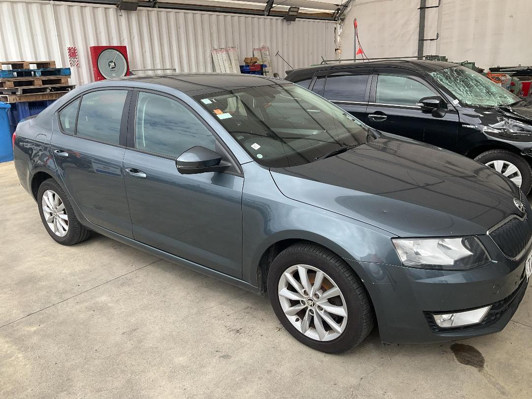 Photo '6' of Skoda Octavia TDI 81KW 7DSG L/B