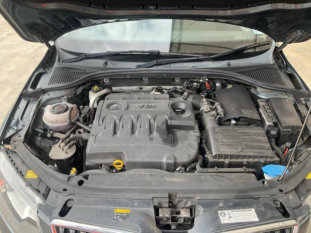 Photo '15' of Skoda Octavia TDI 81KW 7DSG L/B