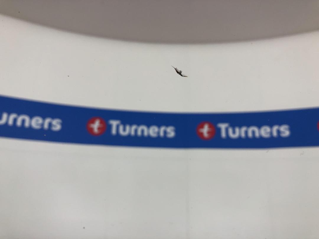 Photo '26' of Ssangyong Tivoli