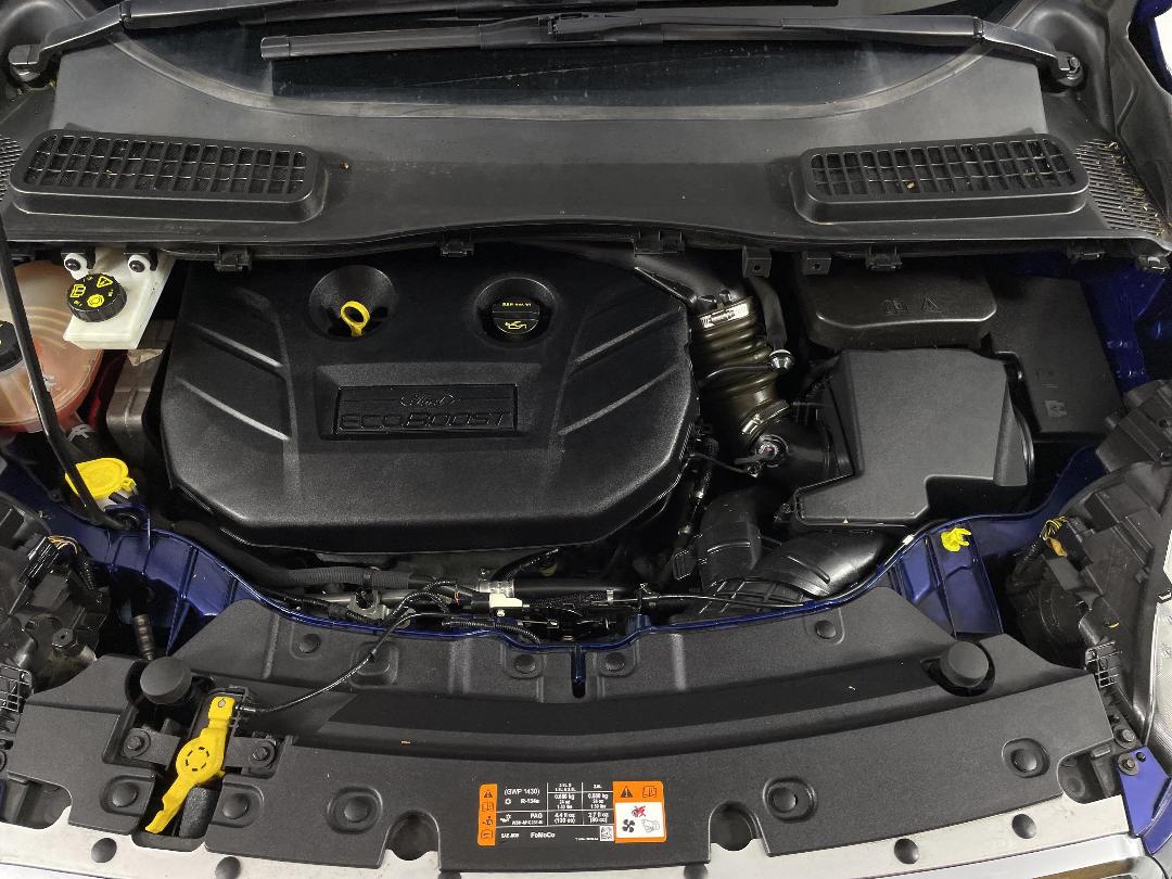 Photo '13' of Ford Escape