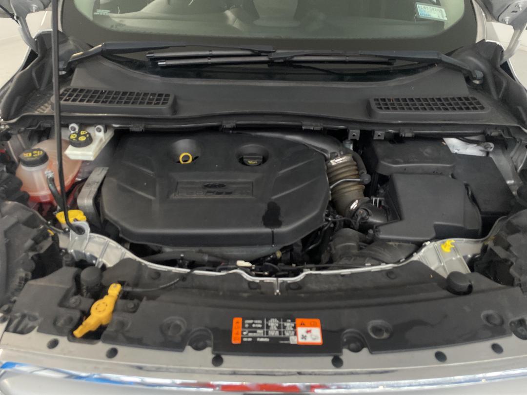 Photo '13' of Ford Escape