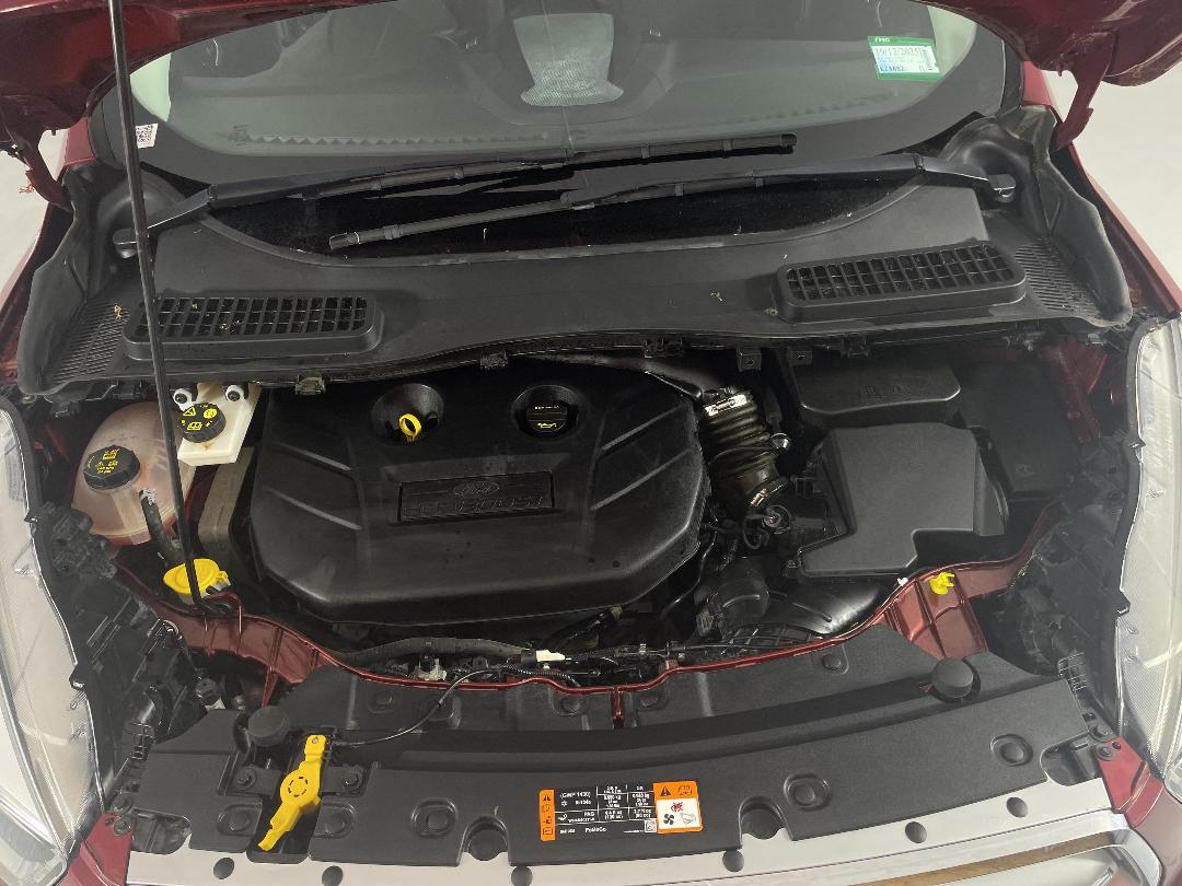 Photo '13' of Ford Escape