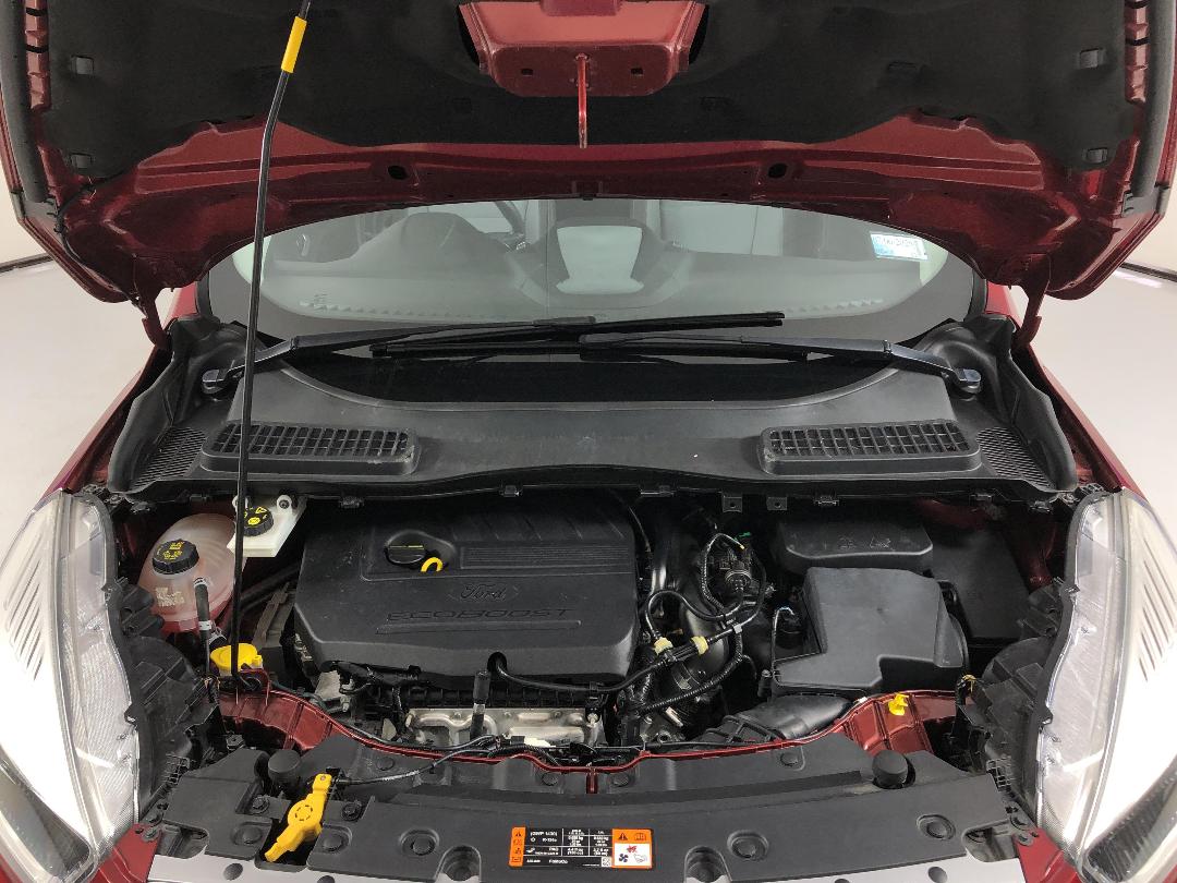 Photo '13' of Ford Escape