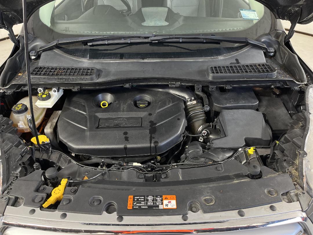 Photo '13' of Ford Escape