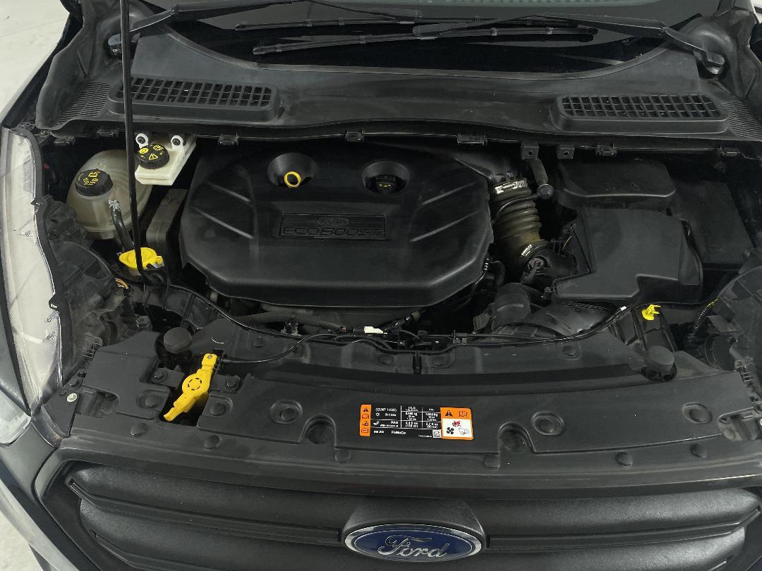 Photo '13' of Ford Escape