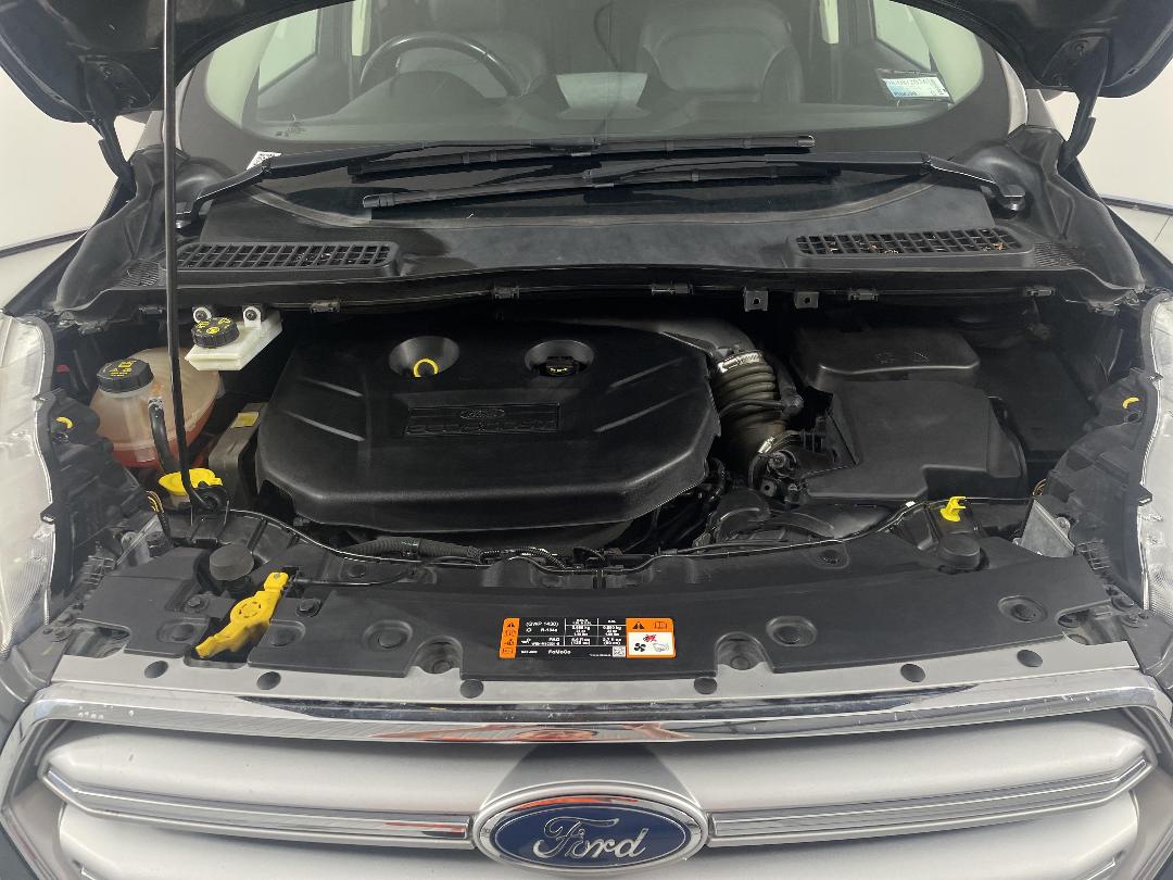 Photo '13' of Ford Escape