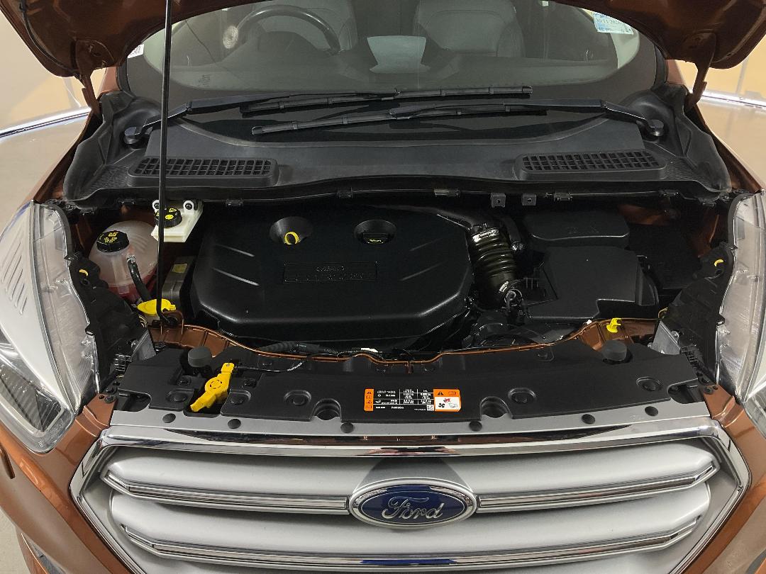 Photo '13' of Ford Escape Photo '13' of Ford Escape