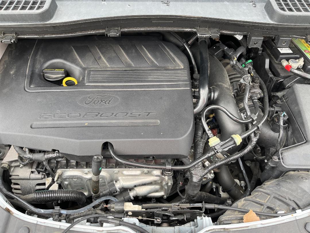 Photo '6' of Ford Escape Trend FWD Petrol