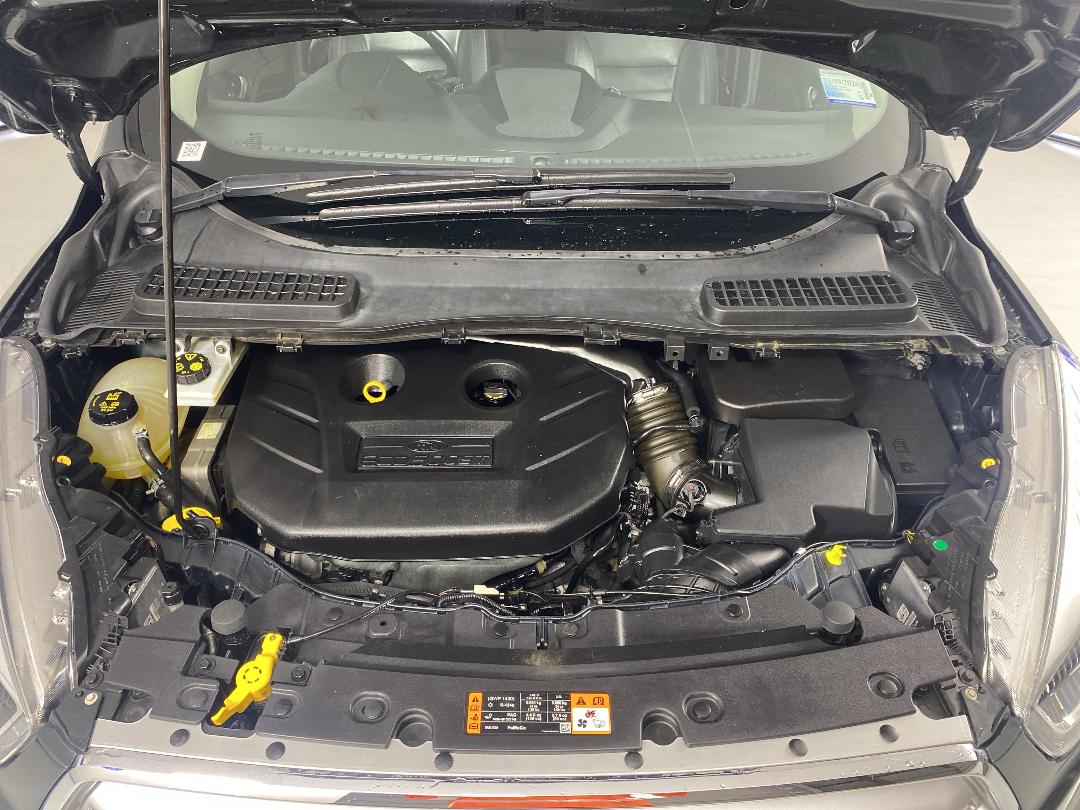 Photo '13' of Ford Escape