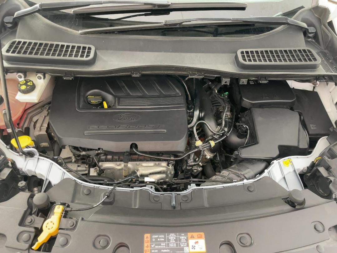 Photo '13' of Ford Escape