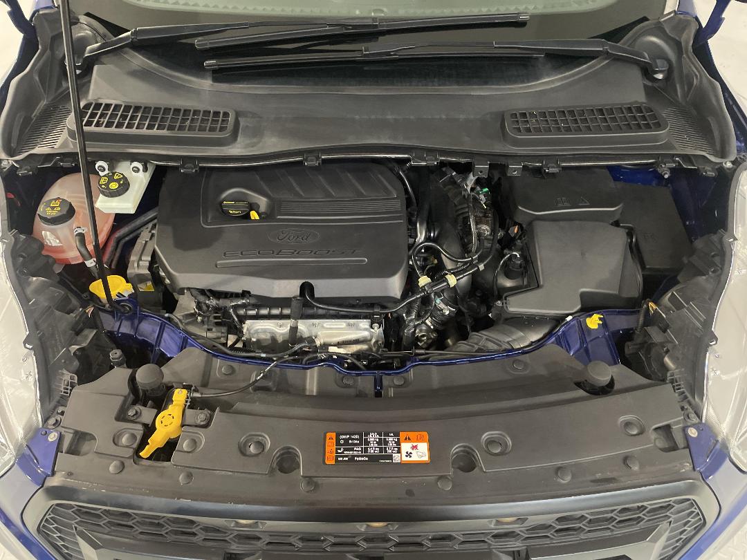 Photo '13' of Ford Escape