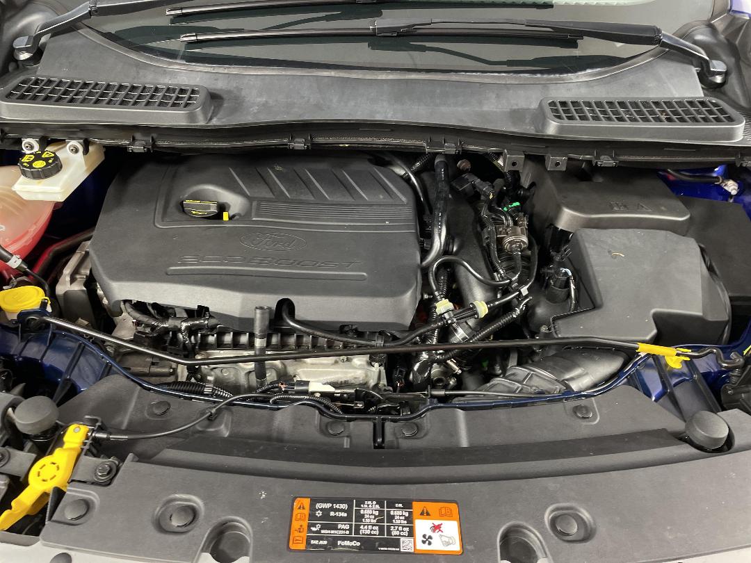 Photo '13' of Ford Escape