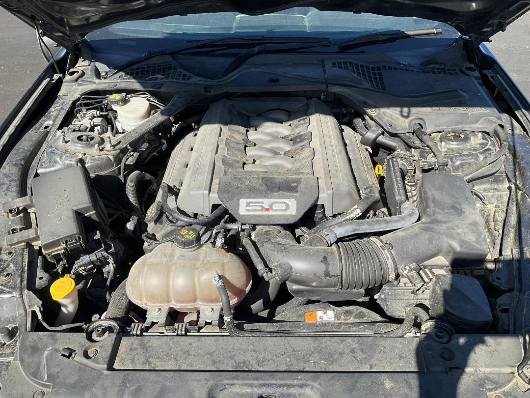 Photo '16' of Ford Mustang 5.0L Fastback AT Photo '16' of Ford Mustang 5.0L Fastback AT