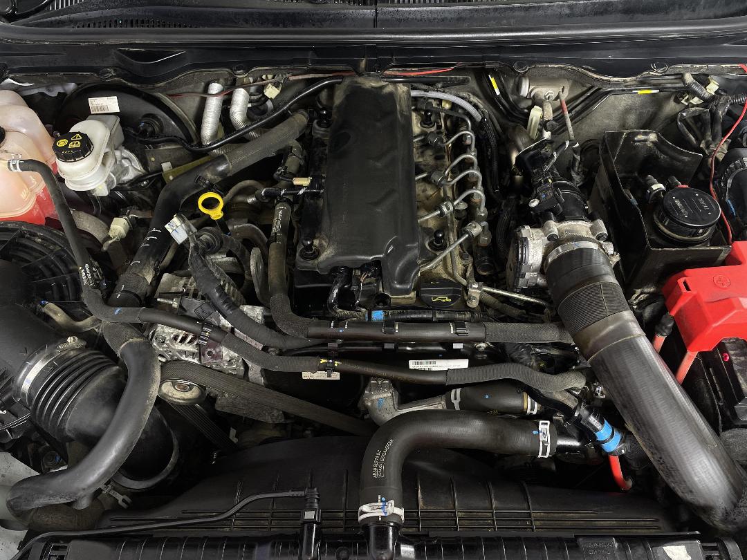 Photo '13' of Ford Ranger Photo '13' of Ford Ranger