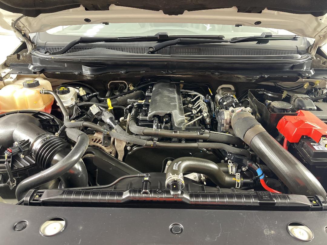 Photo '13' of Ford Ranger