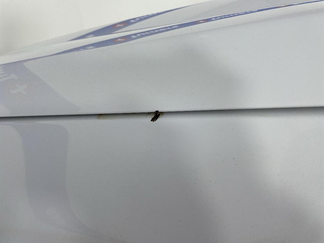 Photo '29' of Ford Ranger