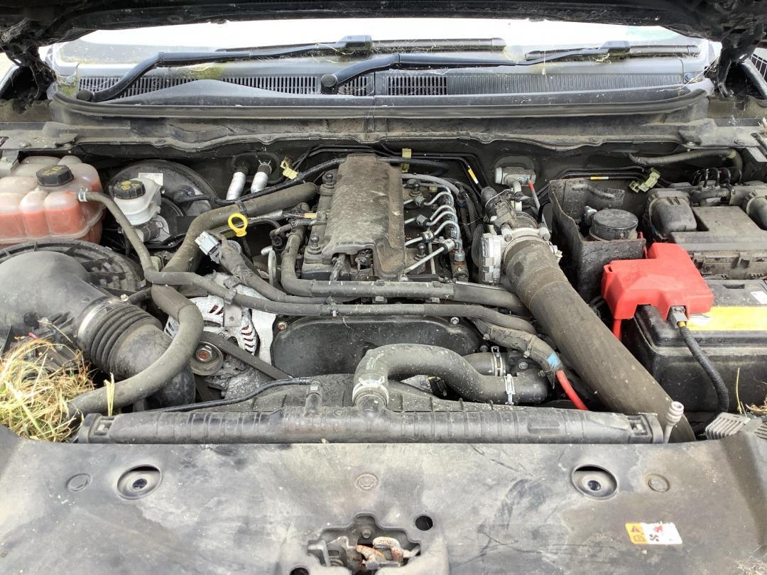 Photo '5' of Ford Ranger XLT Double CAB W/S A Photo '5' of Ford Ranger XLT Double CAB W/S A