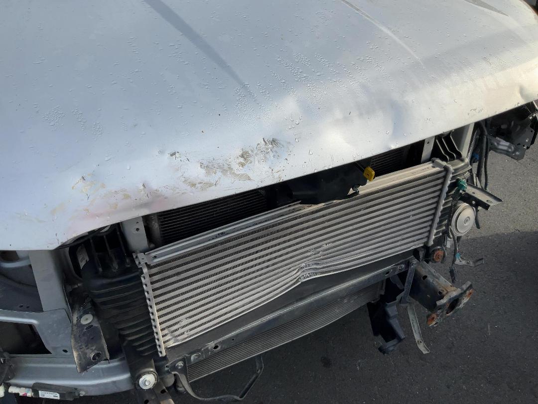 Photo '9' of Ford Ranger XL Double CAB W/SA