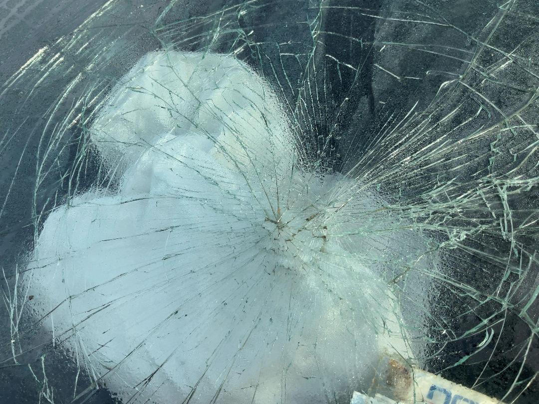 Photo '12' of Ford Ranger XL Double CAB W/SA