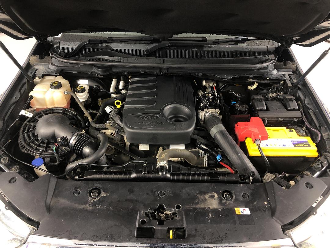 Photo '13' of Ford Ranger