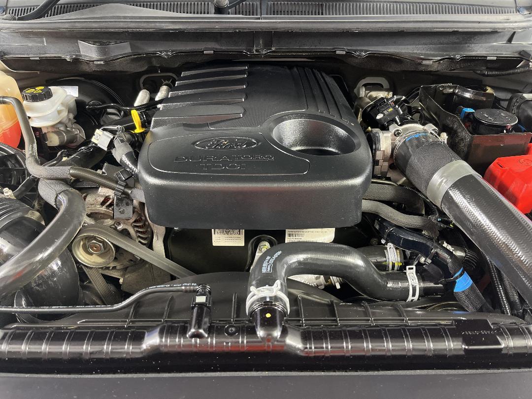 Photo '13' of Ford Ranger Photo '13' of Ford Ranger