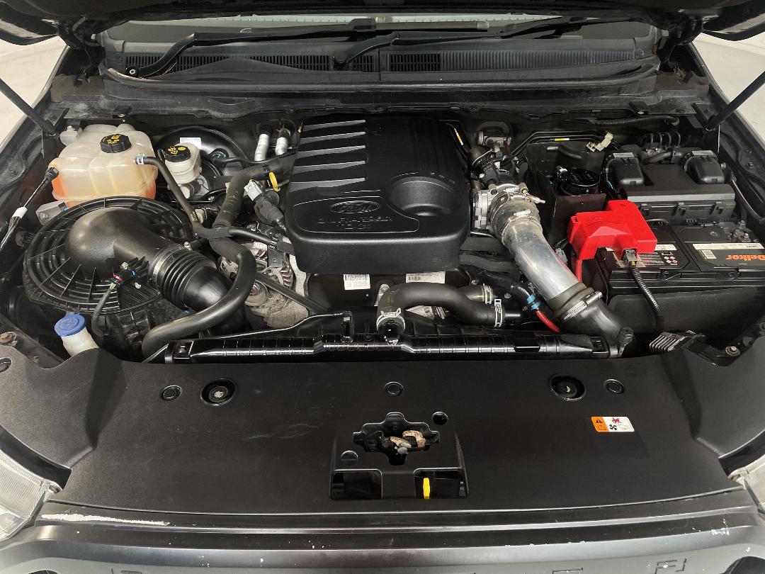 Photo '13' of Ford Ranger