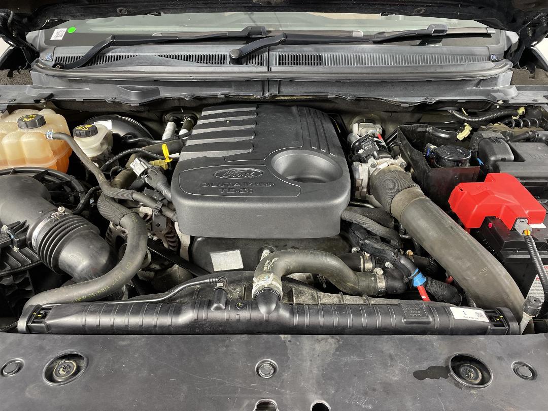 Photo '13' of Ford Ranger