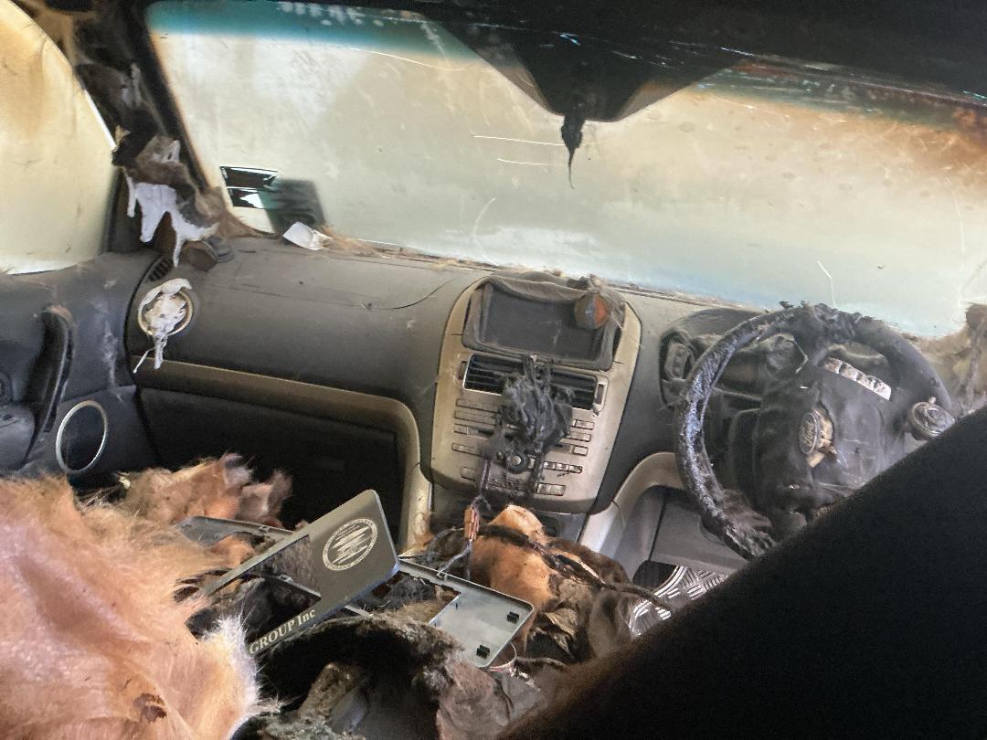 Photo '17' of Ford Territory TS Diesel