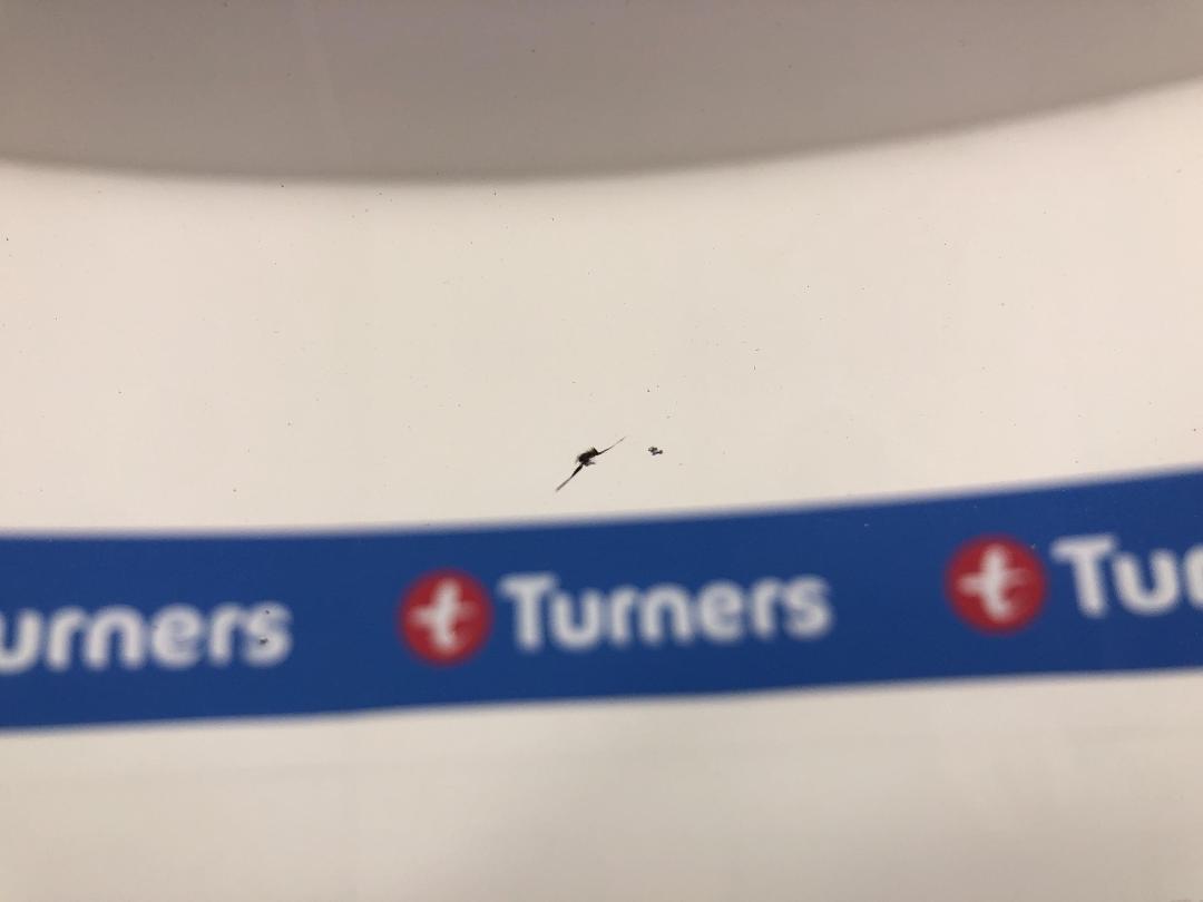 Photo '29' of Ford Transit Photo '29' of Ford Transit