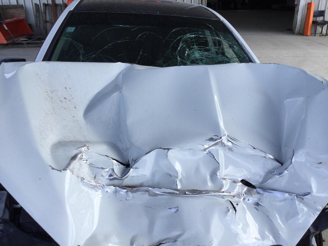 Photo '10' of Holden Commodore VF2 Evoke Photo '10' of Holden Commodore VF2 Evoke