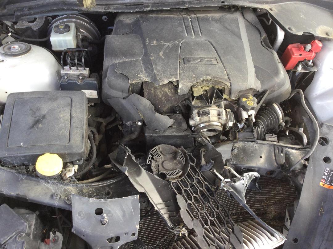 Photo '24' of Holden Commodore VF2 Evoke Photo '24' of Holden Commodore VF2 Evoke