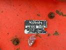 Thumbnail '29' of Kubota F3690 Mower