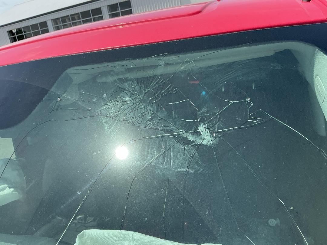 Photo '11' of Mercedes-Benz Vito 114 SWB