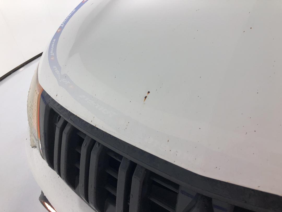 Photo '24' of Mitsubishi Triton