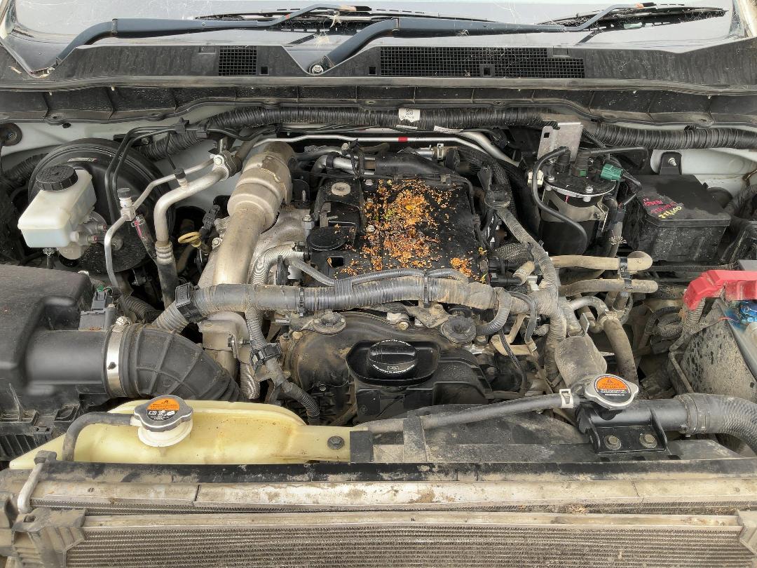 Photo '15' of Nissan Navara ST-X