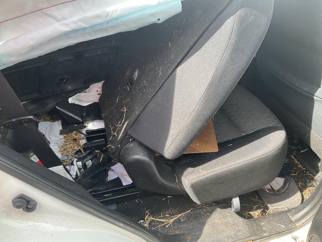 Photo '14' of Nissan X-Trail ST