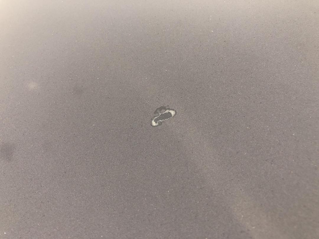 Photo '25' of Subaru Outback